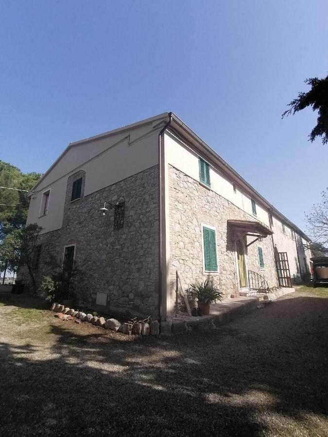Vila La Casa Dei Nonni Chianni Exteriér fotografie