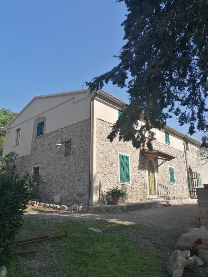 Vila La Casa Dei Nonni Chianni Exteriér fotografie