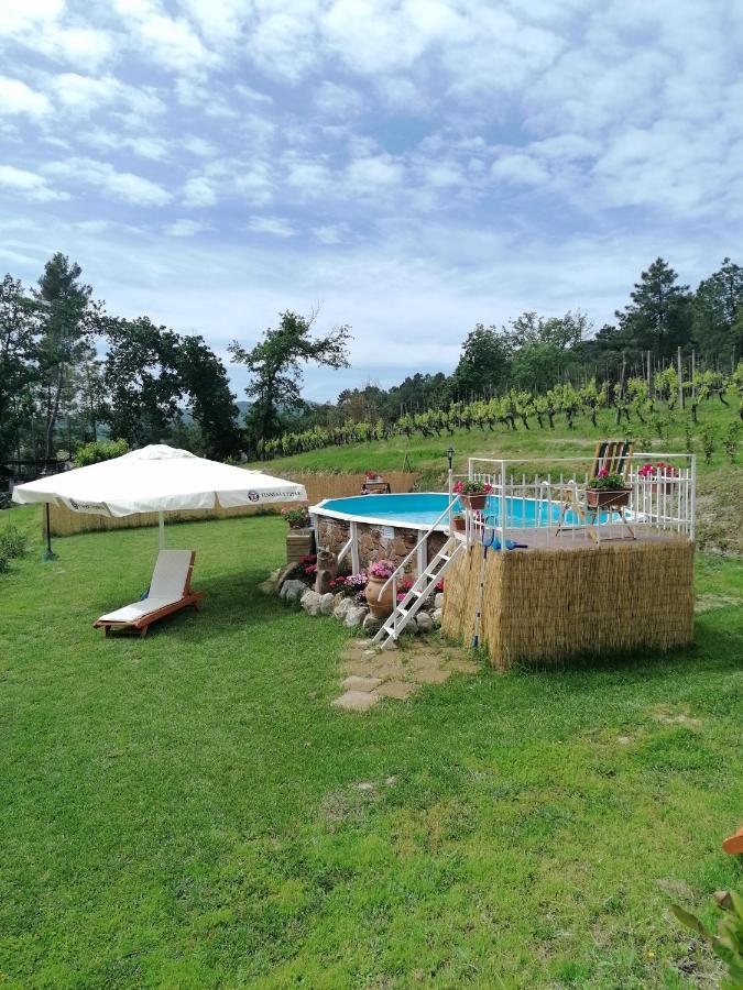 Vila La Casa Dei Nonni Chianni Exteriér fotografie