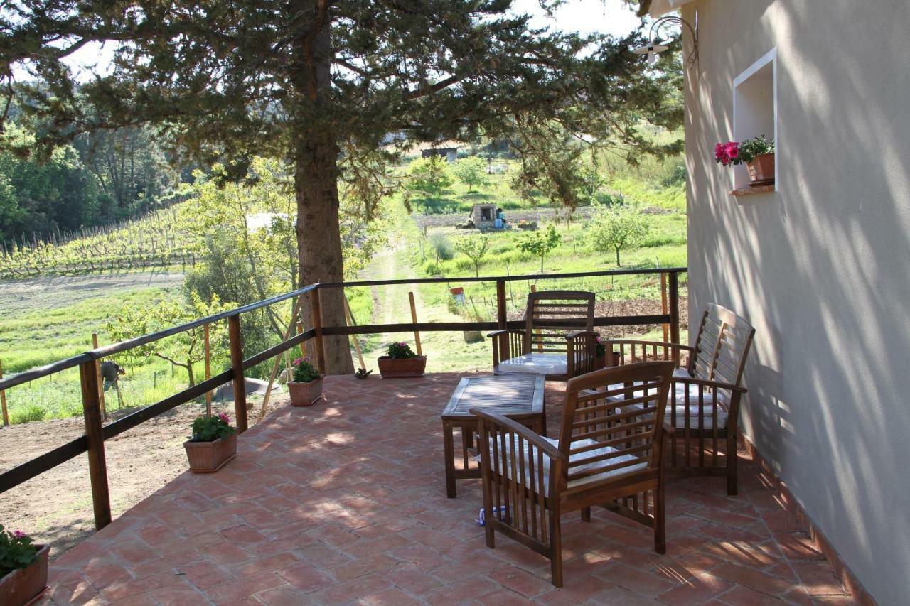 Vila La Casa Dei Nonni Chianni Exteriér fotografie